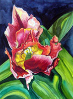 watercolours